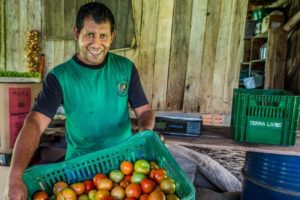 Paraná terá alimentação escolar 100% orgânica