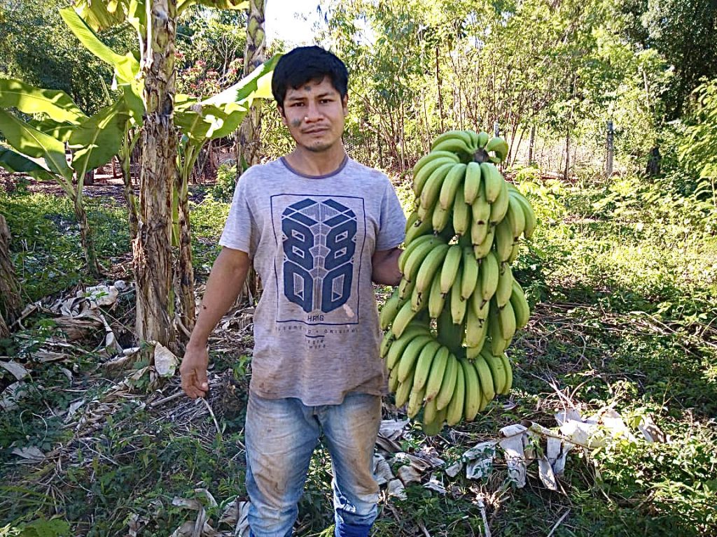 fotografia colorida com um homem indígena ao centro segurando um cacho de banana