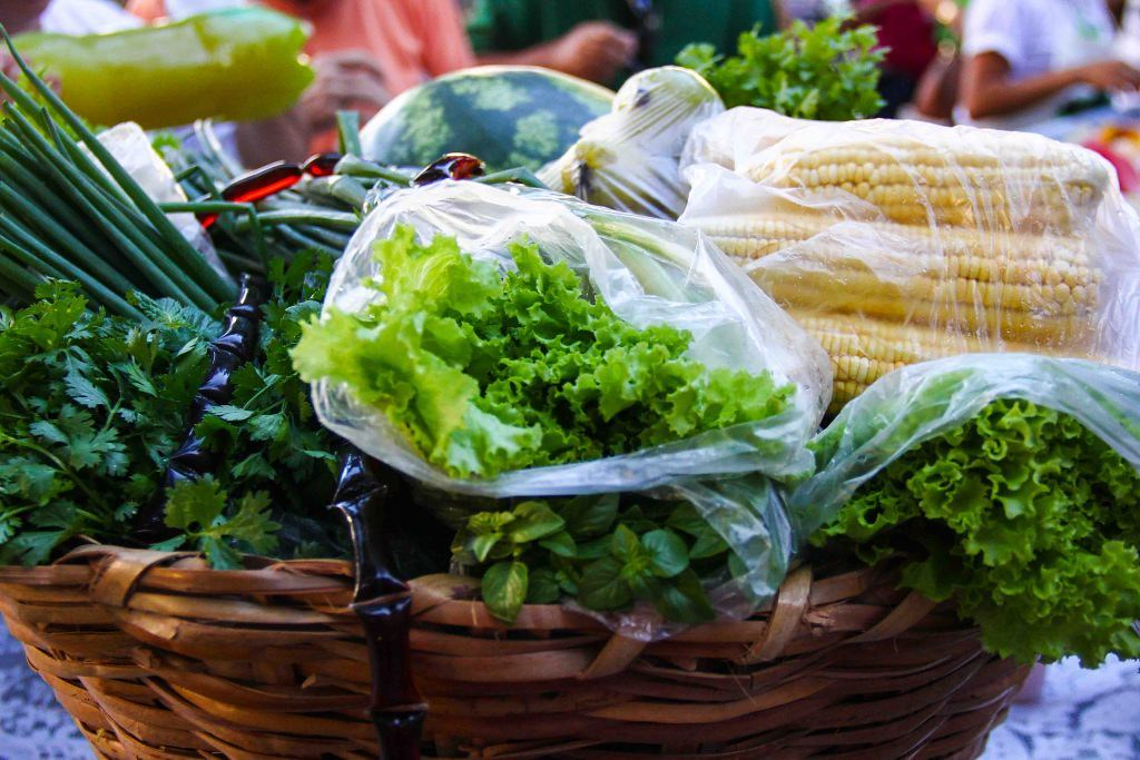 fotografia colorida mostra uma cesta de alimento orgânicos e agroecológicos com hortaliças e milho verde