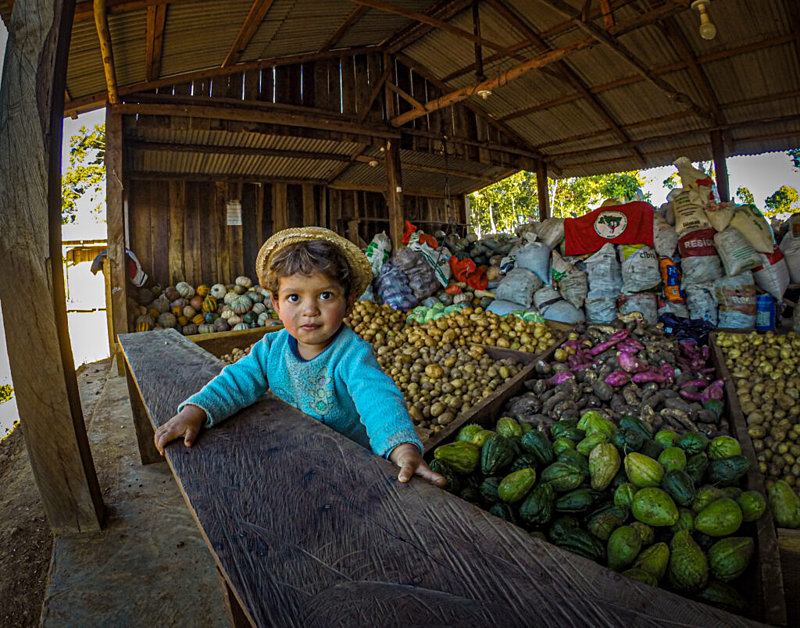 fotografia colorida com uma criança em primeiro plano e atrás delas toneladas de alimentos orgânicos e agroecológicos